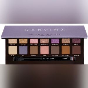 Anastasia Norvina eyeshadow palette limited edition BN matte to metallics